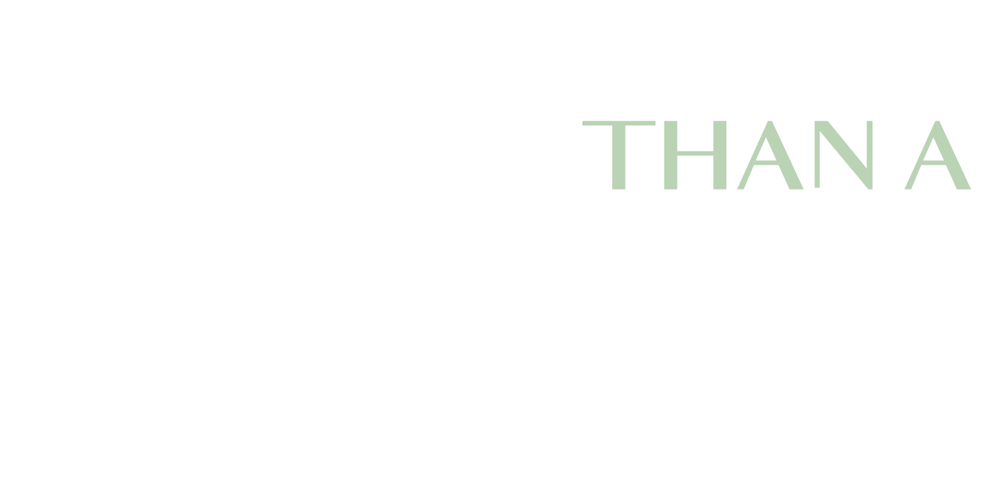 More Than A Therapist